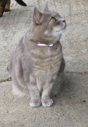 Grosses bild anzeigen 20060805 139.jpg